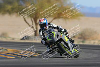 media/Feb-04-2023-SoCal Trackdays (Sat) [[8a776bf2c3]]/Turn 4 (Tree of Life 2pm)/